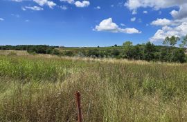 ISTRA, VIŽINADA - Građevinsko zemljište za gradnju dvije kuće, otvoreni pogled na prirodu, Vižinada, Land