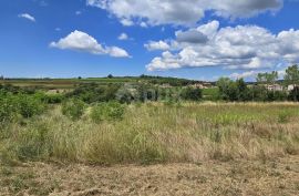 ISTRA, VIŽINADA - Građevinsko zemljište za gradnju dvije kuće, otvoreni pogled na prirodu, Vižinada, Земля