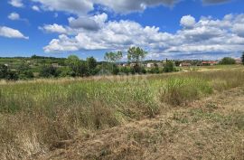 ISTRA, VIŽINADA - Građevinsko zemljište za gradnju dvije kuće, otvoreni pogled na prirodu, Vižinada, Γη