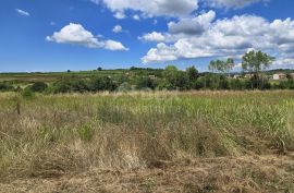 ISTRA, VIŽINADA - Građevinsko zemljište za gradnju dvije kuće, otvoreni pogled na prirodu, Vižinada, Γη