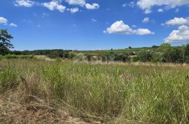 ISTRA, VIŽINADA - Građevinsko zemljište za gradnju dvije kuće, otvoreni pogled na prirodu, Vižinada, Земля