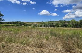 ISTRA, VIŽINADA - Građevinsko zemljište s otvorenim pogledom, Vižinada, Land