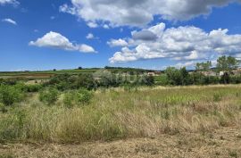 ISTRA, VIŽINADA - Građevinsko zemljište s otvorenim pogledom, Vižinada, Tierra