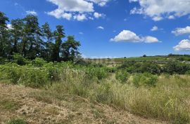 ISTRA, VIŽINADA - Građevinsko zemljište s otvorenim pogledom, Vižinada, Terreno