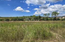 ISTRA, VIŽINADA - Građevinsko zemljište s otvorenim pogledom, Vižinada, Zemljište