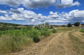 ISTRA, VIŽINADA - Građevinsko zemljište s otvorenim pogledom, Vižinada, Terra