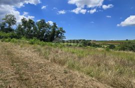 ISTRA, VIŽINADA - Građevinsko zemljište s otvorenim pogledom, Vižinada, Land