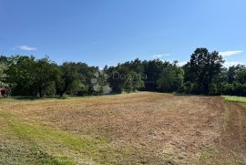 IDEALNO ZEMLJIŠTE ZA OBITELJSKU KUĆU NA POVIŠENOM DIJELU, Pazin, Land