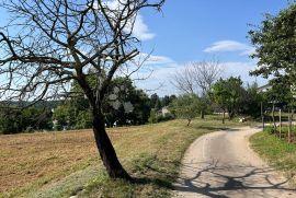 IDEALNO ZEMLJIŠTE ZA OBITELJSKU KUĆU NA POVIŠENOM DIJELU, Pazin, Terrain