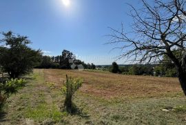 IDEALNO ZEMLJIŠTE ZA OBITELJSKU KUĆU NA POVIŠENOM DIJELU, Pazin, Terra