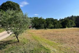 IDEALNO ZEMLJIŠTE ZA OBITELJSKU KUĆU NA POVIŠENOM DIJELU, Pazin, Terra