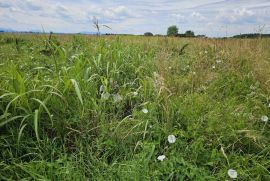 SAVRŠENO ULAGANJE U BUDUĆNOST, Varaždin, Terra