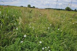 SAVRŠENO ULAGANJE U BUDUĆNOST, Varaždin, Land