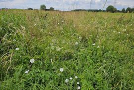 SAVRŠENO ULAGANJE U BUDUĆNOST, Varaždin, Tierra