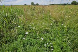 SAVRŠENO ULAGANJE U BUDUĆNOST, Varaždin, Земля