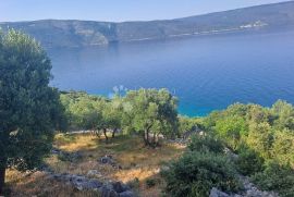 Cres - Maslinik na jedinstvenoj lokaciji, Cres, Zemljište