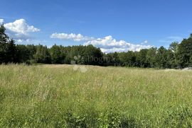 GRAĐRVINSKO ZEMLJIŠTE NA POŽELJNOJ LOKACIJI, DEBELO BRDO, Gospić - Okolica, Arazi