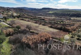 GRAĐEVINSKO ZEMLJIŠTE; POGLED MORE; BUJE; PRODAJA!, Buje, Land