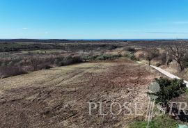 GRAĐEVINSKO ZEMLJIŠTE; POGLED MORE; BUJE; PRODAJA!, Buje, Zemljište