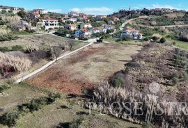 GRAĐEVINSKO ZEMLJIŠTE; POGLED MORE; BUJE; PRODAJA!, Buje, Land