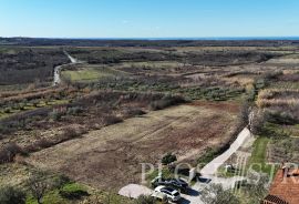 GRAĐEVINSKO ZEMLJIŠTE; POGLED MORE; BUJE; PRODAJA!, Buje, Land