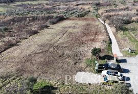 GRAĐEVINSKO ZEMLJIŠTE; POGLED MORE; BUJE; PRODAJA!, Buje, Terrain