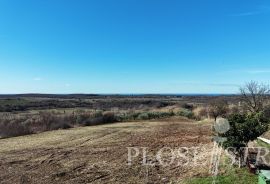 GRAĐEVINSKO ZEMLJIŠTE; POGLED MORE; BUJE; PRODAJA!, Buje, Terrain