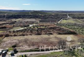 GRAĐEVINSKO ZEMLJIŠTE; POGLED MORE; BUJE; PRODAJA!, Buje, Land