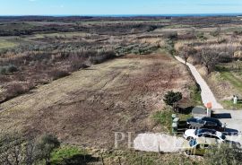 GRAĐEVINSKO ZEMLJIŠTE; POGLED MORE; BUJE; PRODAJA!, Buje, Land