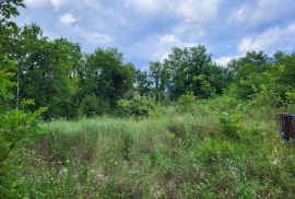 ISTRA, BUZET - Građevinsko i poljoprivredno zemljište, Buzet, Land