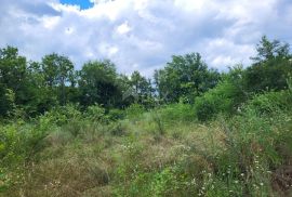 ISTRA, BUZET - Građevinsko i poljoprivredno zemljište, Buzet, Terreno