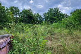 ISTRA, BUZET - Građevinsko i poljoprivredno zemljište, Buzet, Land