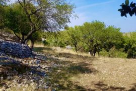 Prostrana građevna parcela, otok Brač, Nerežišća, Terreno