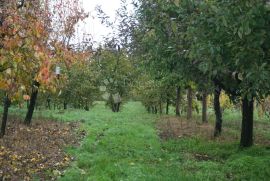 Vikendica s Velikom Okućnicom i Voćnjakom u Gornjoj Gračenici, Popovača, بيت