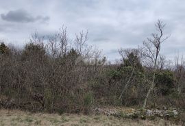 OTOK KRK, šire područje grada Krka - zemljište sa šumom, Krk, Land