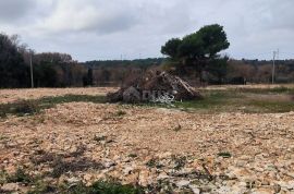 ISTRA, LIŽNJAN Građevinsko zemljište za izgradnju stanova! PRILIKA!!!, Ližnjan, Arazi