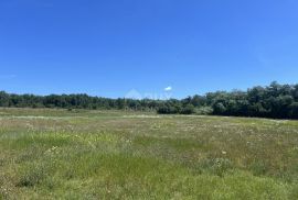 ISTRA,BADERNA - Prostrano poljoprivredno zemljište, Poreč, Arazi