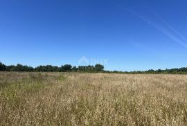 ISTRA,BADERNA - Prostrano poljoprivredno zemljište, Poreč, Terreno