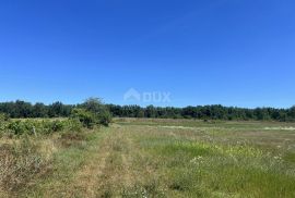 ISTRA,BADERNA - Prostrano poljoprivredno zemljište, Poreč, Land