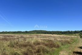 ISTRA,BADERNA - Prostrano poljoprivredno zemljište, Poreč, Terrain