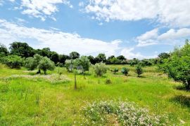 Tražite mirnu oazu s par susjeda nedaleko od Pule?, Marčana, House