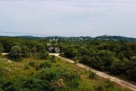 ZEMLJIŠTE U BUJAMA SA PROJEKTOM I PANORAMSKIM POGLEDOM NA PRIRODU, Buje, Land