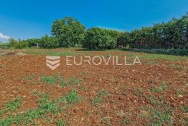 Istra, Novigrad, građevinsko zemljište od ukupno 1119m2, Novigrad, Land