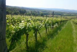 Kutjevačko vinogorje, IDILIČNO SEOSKO IMANJE  78 505 m2 u srcu Slavonije, Kutjevo, Terrain