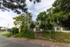 Vukovar, centar, vila sa 13 smještajnih jedinica, poslovna prilika, Vukovar, Casa