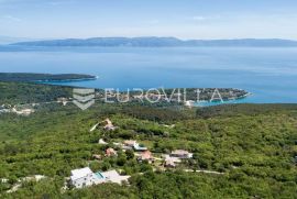 Istra, okolica Labina - prekrasna villa očaravajućeg pogleda na Kvarner, Labin, Maison