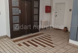 Dr Ivana Ribara, dvosoban, mogućnost trosobnog, Novi Beograd, Appartment