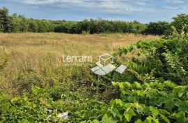 Istra, Vodnjan građeviska zemljišta 498m do 590m2, s plaćenim projektom za kuću s bazenom #prodaja, Vodnjan, Arazi