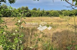 Istra, Vodnjan građeviska zemljišta 498m do 590m2, s plaćenim projektom za kuću s bazenom #prodaja, Vodnjan, Γη