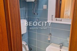 Novi Sad, Telep, Petefi Šandora, 1.0, 16m2, Novi Sad - grad, Apartamento